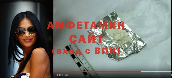 трава Ельня