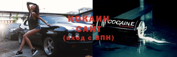 стаф Дмитровск