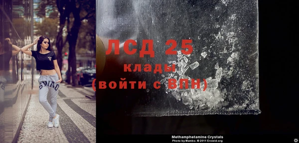 гидра Дмитров