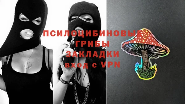 трава Ельня